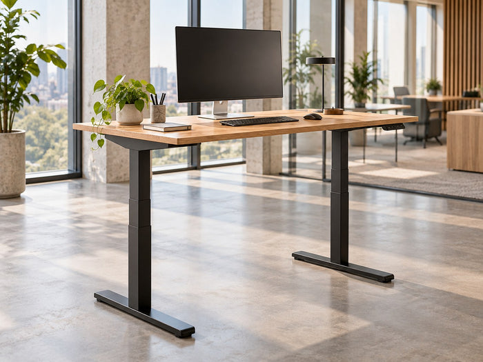 Premium Sit-Stand Workstation